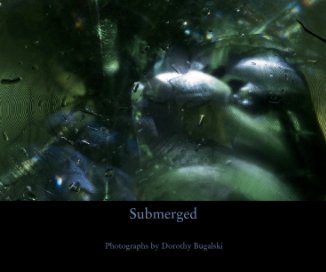 Submerged book cover