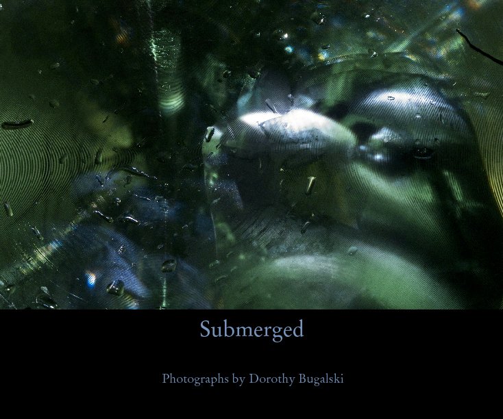 View Submerged by Photographs by Dorothy Bugalski