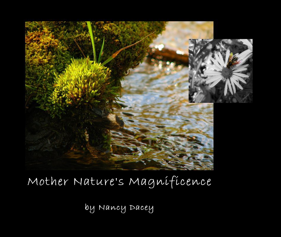 View Mother Nature's Magnificence by Nancy Dacey