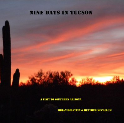 Nine Days in Tucson book cover