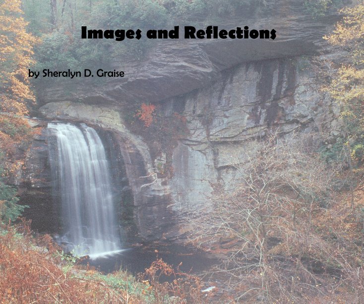 Visualizza Images and Reflections di Sheralyn D. Graise