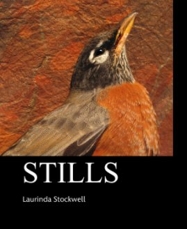 STILLS book cover