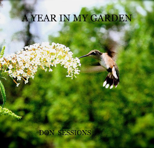 Visualizza A YEAR IN MY GARDEN di DON SESSIONS