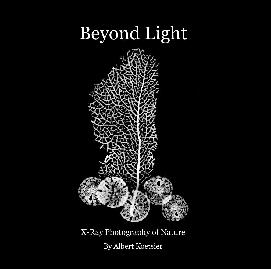 View Beyond Light by Albert Koetsier