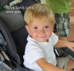 LOVE LOVE LOVE 2010-2011 book cover