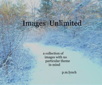 Images Unlimited a collection of images with no particular theme in mind p.m.lynch book cover
