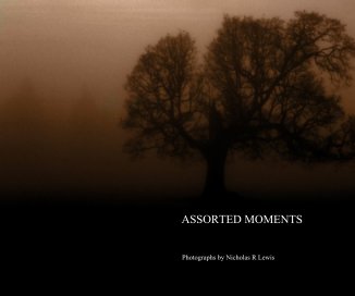 ASSORTED MOMENTS book cover
