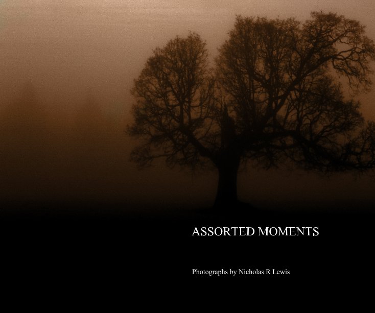 Visualizza ASSORTED MOMENTS di Photographs by Nicholas R Lewis