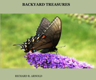 BACKYARD TREASURES book cover
