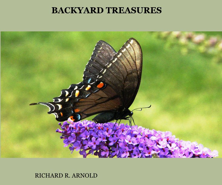 Ver BACKYARD TREASURES por Richard R. Arnold