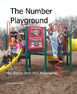 The Number Playground book cover