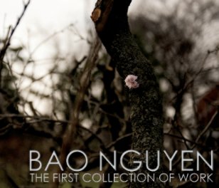 Bao Nguyen book cover
