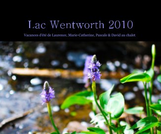 Lac Wentworth 2010 book cover