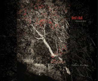 Devil's Hall book cover