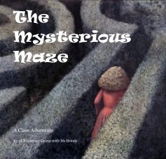 The Mysterious Maze book cover