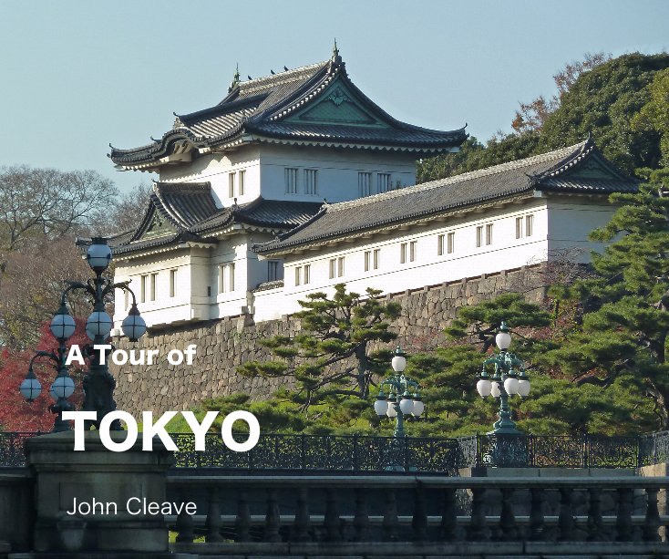 View A Tour of Tokyo by John Cleave