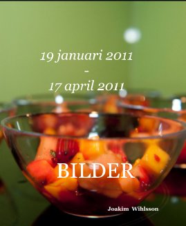 19 januari 2011 - 17 april 2011 book cover