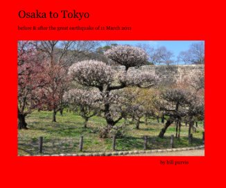 Osaka to Tokyo book cover