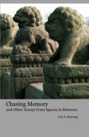 Chasing Memory and Other Essays from Spaces in Between book cover