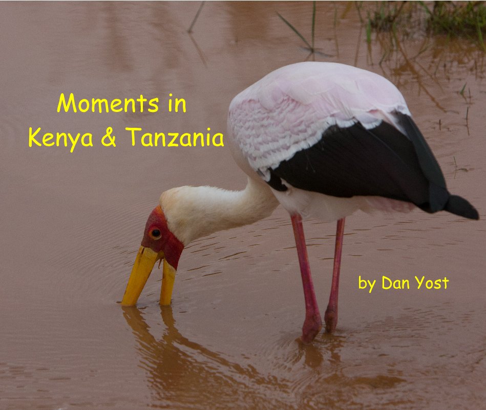 View Moments in Kenya & Tanzania by Dan Yost