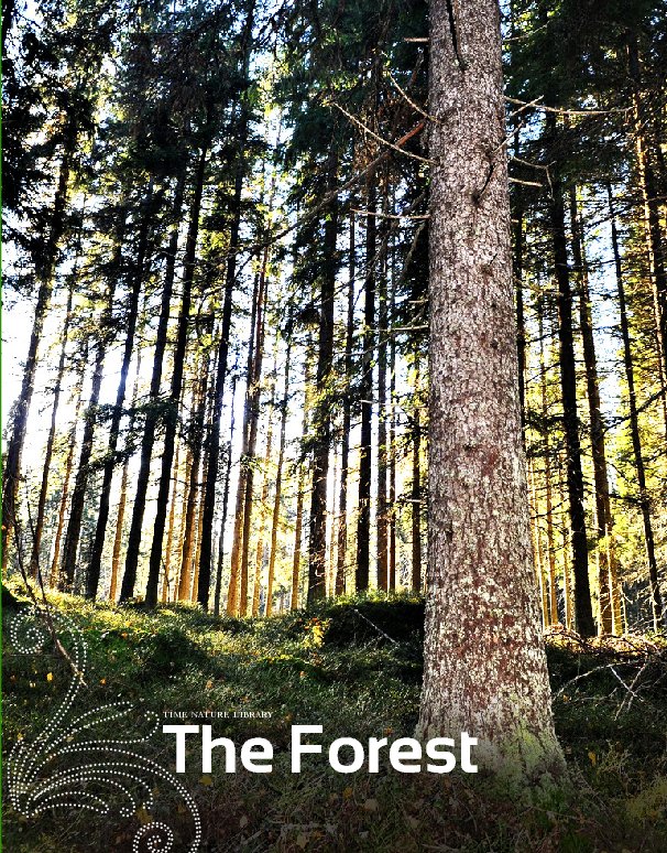 Ver The Forest por Aimee Griffith