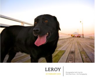 Leroy book cover