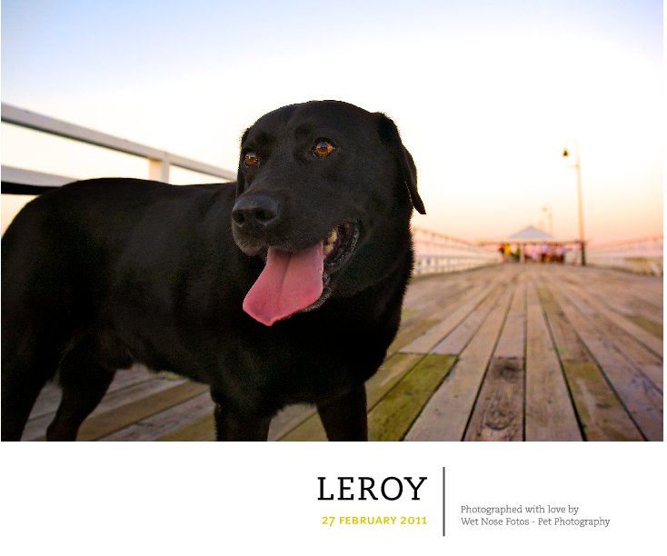 View Leroy by Wet Nose Fotos