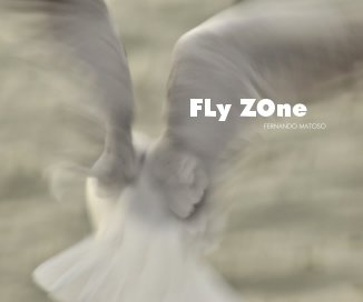 FLy ZOne book cover
