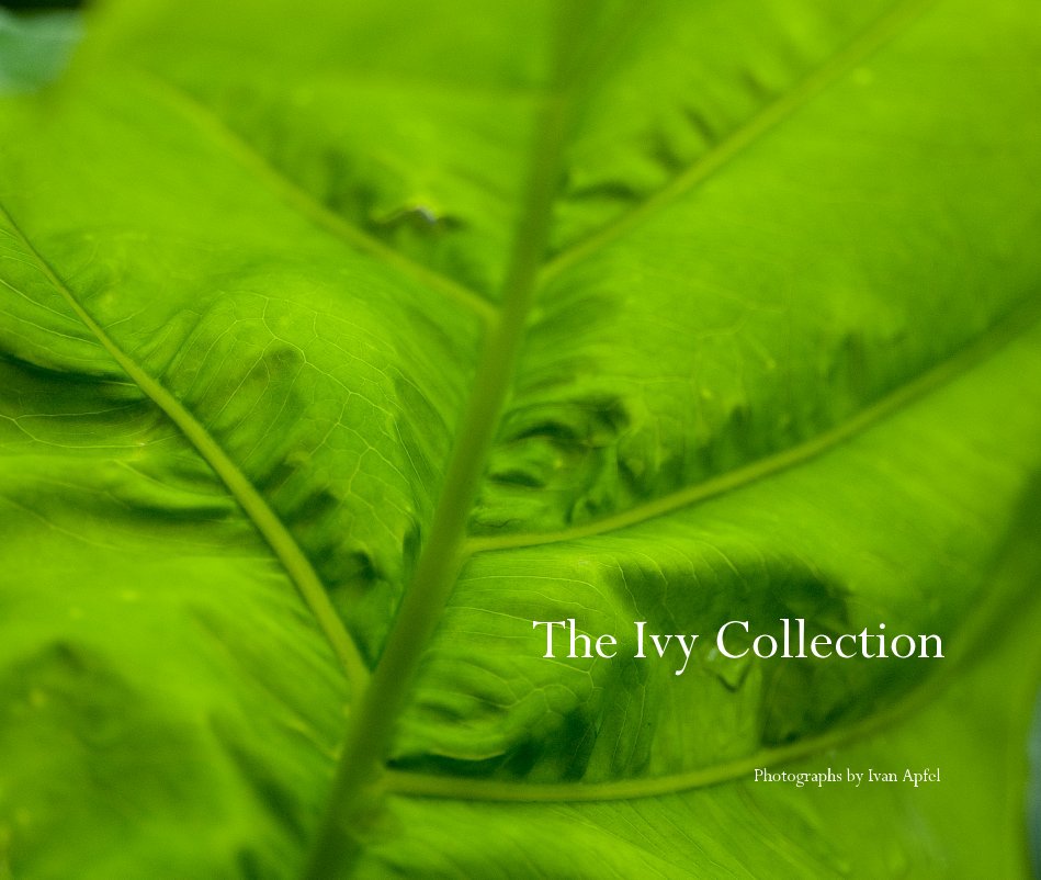 View The Ivy Collection by Photographs by Ivan Apfel