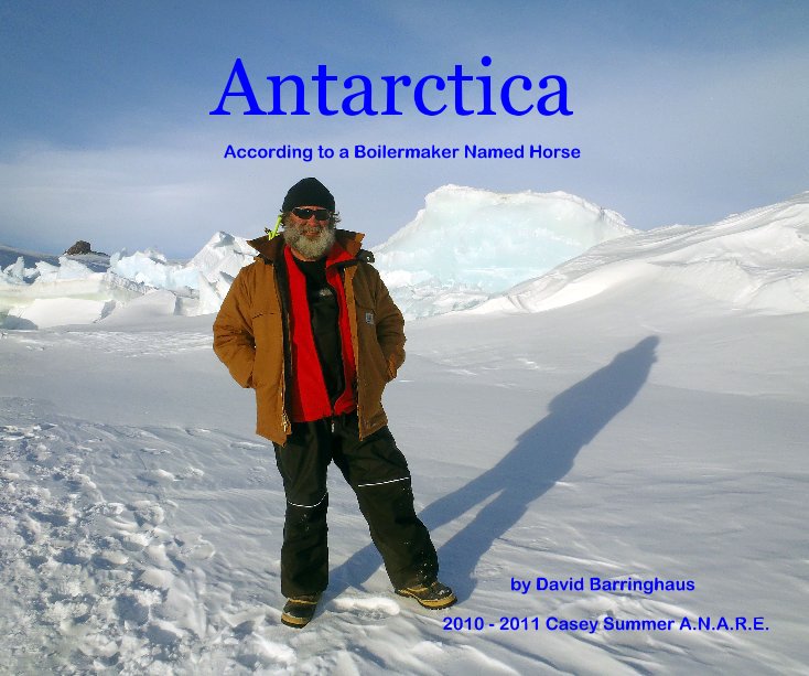 View Antarctica by David Barringhaus