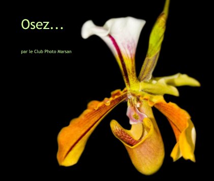 Osez... book cover