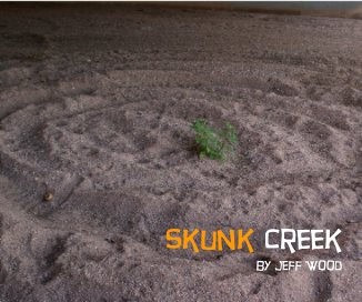 Skunk Creek book cover