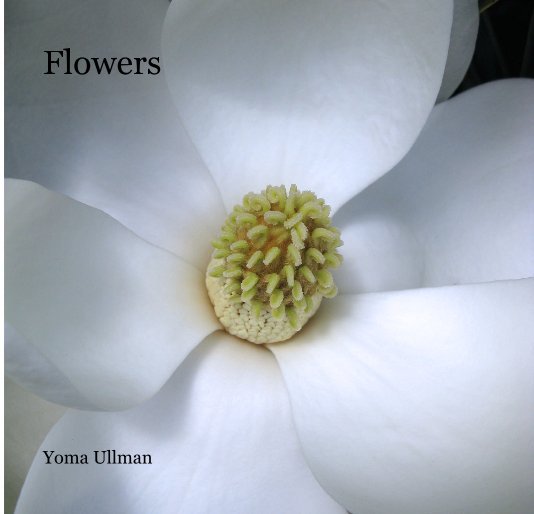 View Flowers by Yoma Ullman