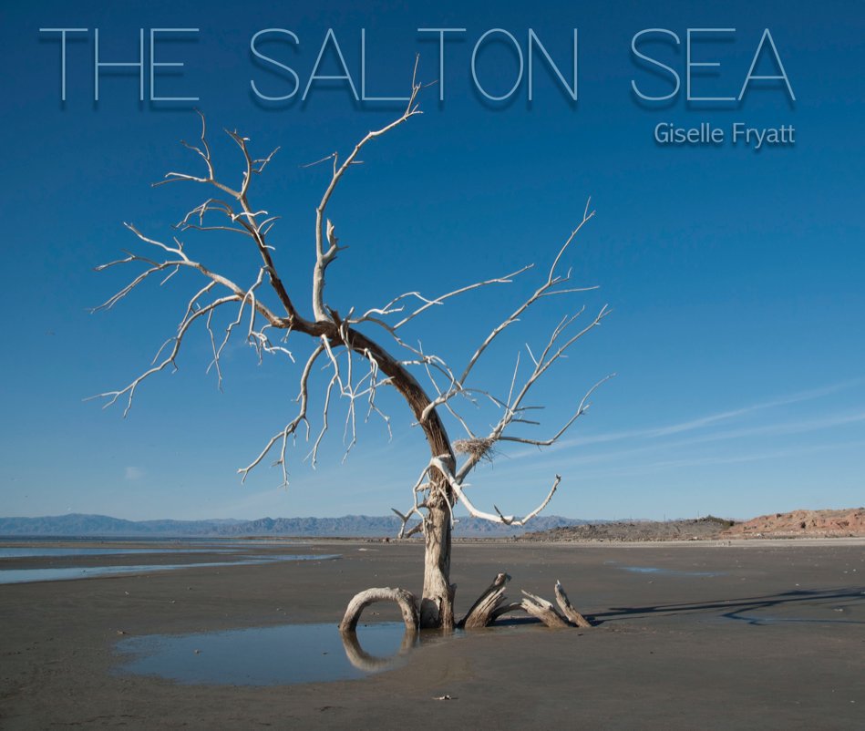 View The Salton Sea by Giselle Fryatt