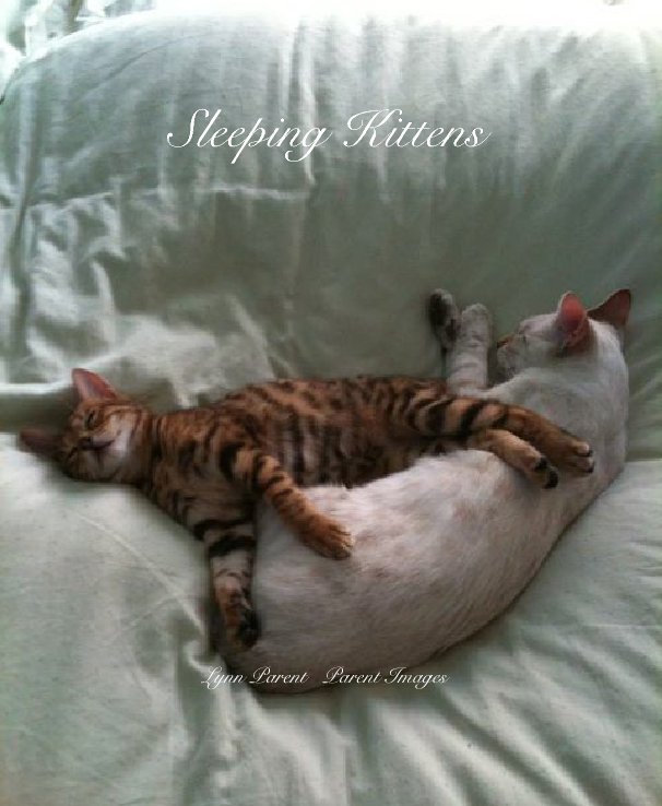 View Sleeping Kittens by Lynn Parent   Parent Images