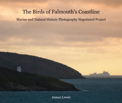 The Birds of Falmouth's Coastline Marine and Natural History Photography Negotiated Project book cover