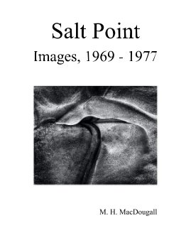 Salt Point book cover