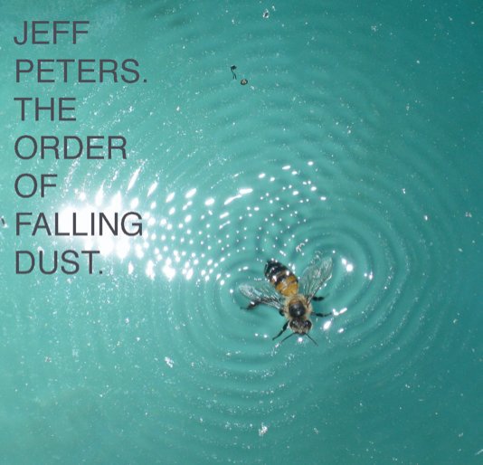 View THE ORDER OF FALLING DUST by JEFF PETERS