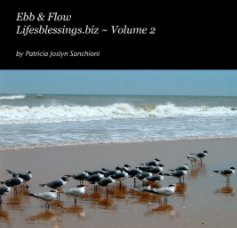 Ebb & Flow Lifesblessings.biz ~ Volume 2 book cover