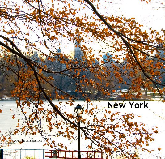 View New York by 2011 Intersession