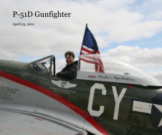P-51D Gunfighter book cover