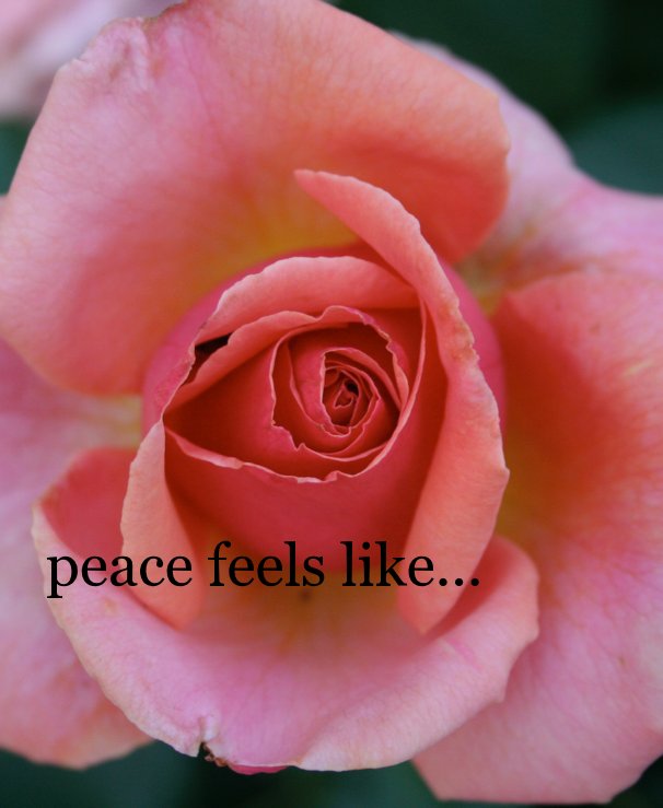 View peace feels like... by Walden Students edited by Allegra Fulton