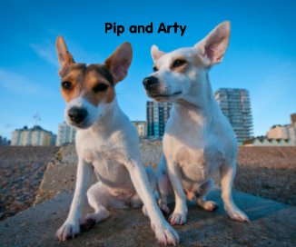 Pip and Arty book cover
