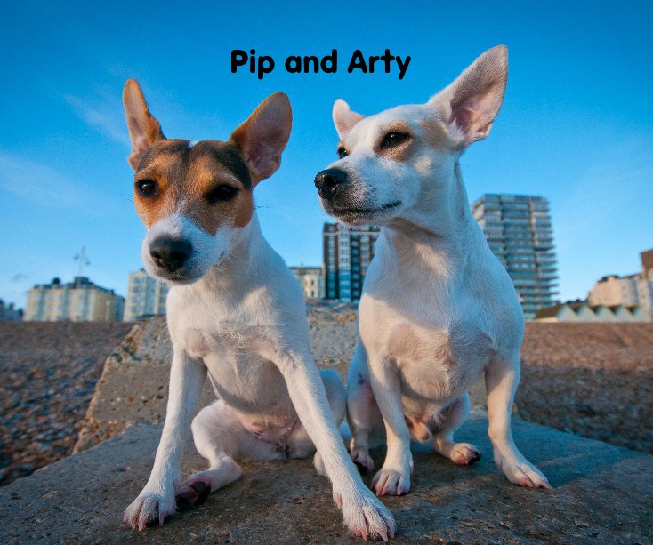 Bekijk Pip and Arty op Brighton Dog Photography