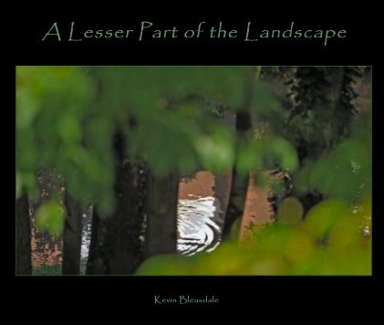A Lesser Part of the Landscape book cover