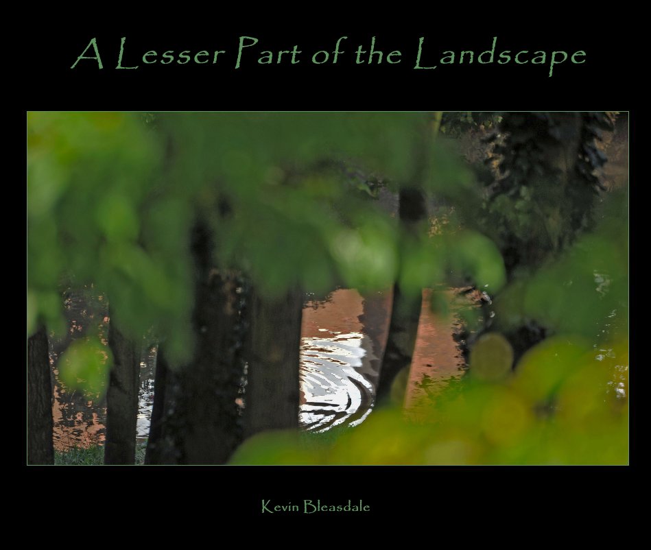 View A Lesser Part of the Landscape by Kevin Bleasdale