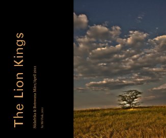 The Lion Kings book cover
