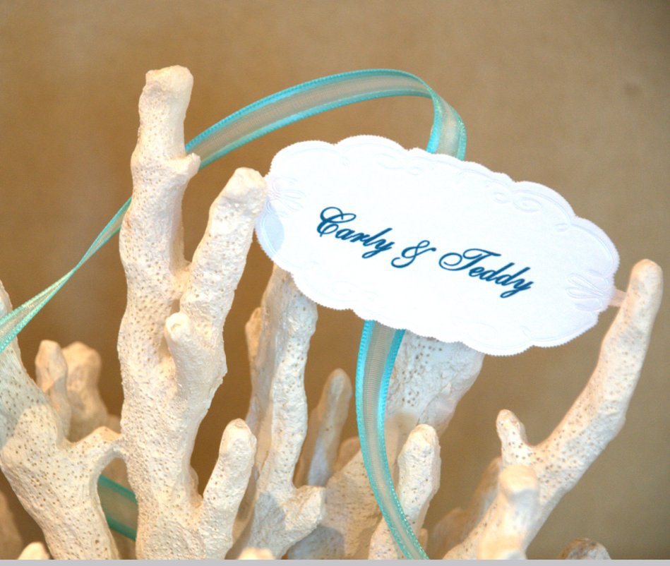 View Teddy and Carly's Wedding Album by Carly Mejeur