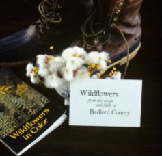 Wildflowers of Bedford County book cover