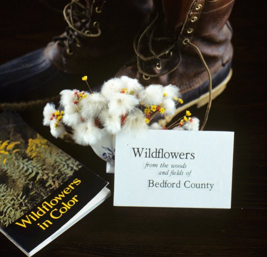Ver Wildflowers of Bedford County por John Robert Miller